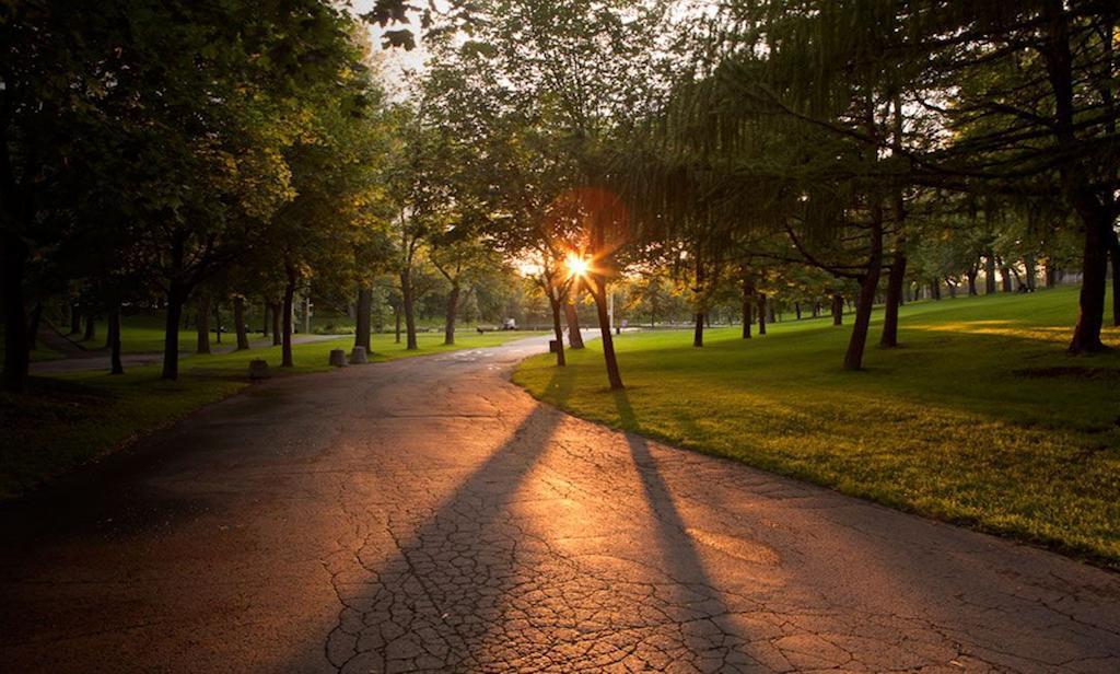 Gite Du Parc Lafontaine Montréal Exteriör bild